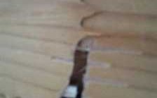 床尾夹缝木板（床尾木板摔裂开了能修复吗）