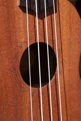 木板铁丝乐器（木板上有铁片的乐器叫啥）-图1
