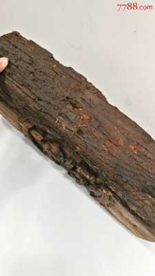 长在烂木上的木板子（长在烂木头上的是什么）-图3