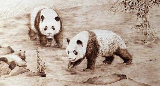 熊猫木板子（大熊猫板材）-图2