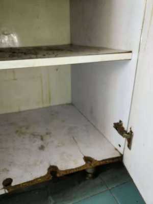厨柜木板腐烂（橱柜木头烂了怎么处理）-图1
